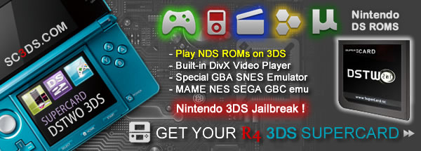 SuperCard DSTWO 3DS R4